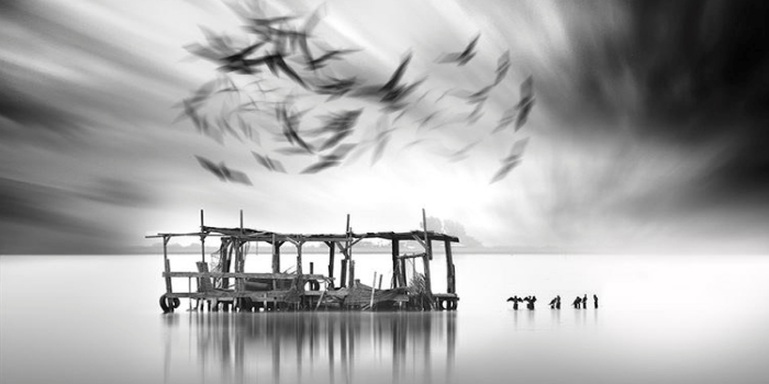 En yüksekten uçan martı, en uzağı görendir. (Haklısın Jonathan!)